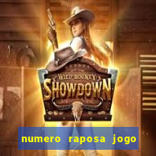 numero raposa jogo do bicho